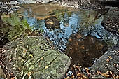 Kbal Spean, called also River of the Thousand Lingam, the riverbed and banks have been graven with linga and various sacred images of hindu divinities 